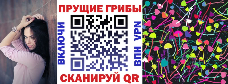 Галлюциногенные грибы Psilocybine cubensis  Верещагино 